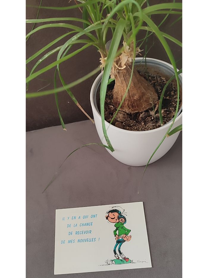 Carte postale Gaston Lagaffe