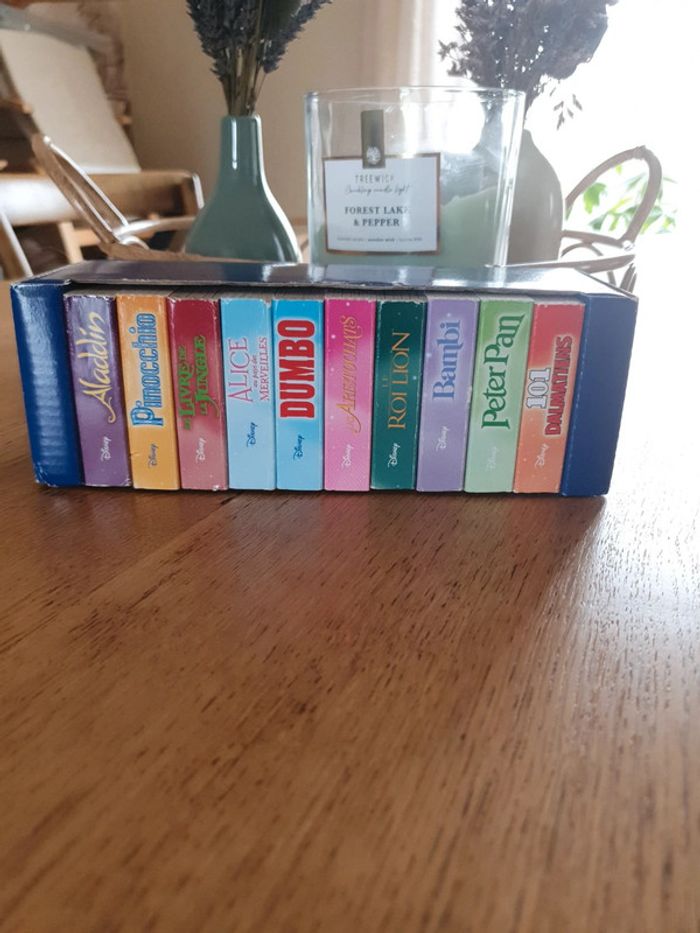 Lot de 10 mini livres