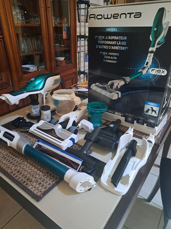 Aspirateur balai Rowenta Force Flex 5.60