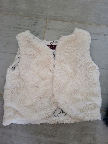 Lot gilet en fourrure