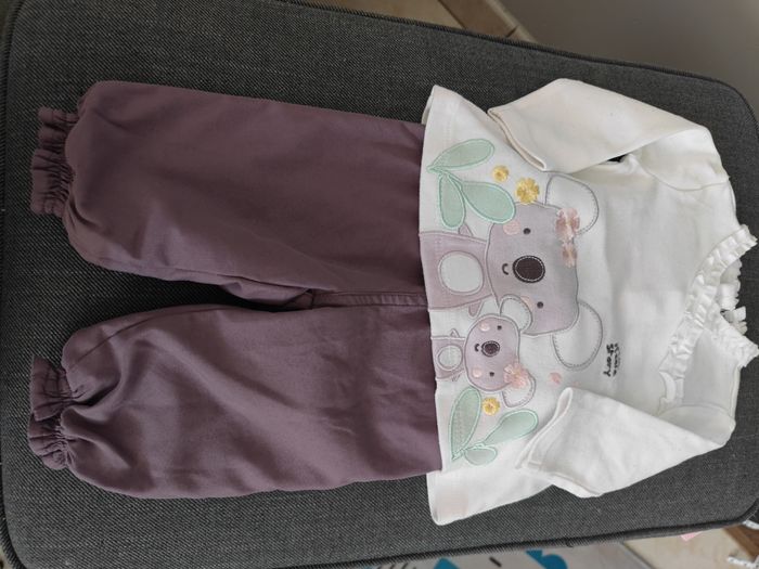 Ensemble koala