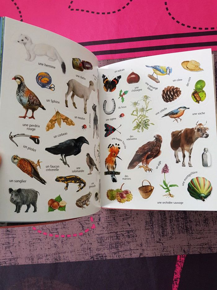 Livre sur la montagne - photo numéro 3