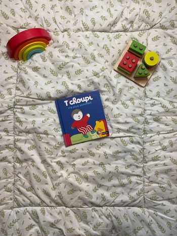 livre t'choupi n'a plus sommeil numéro 3