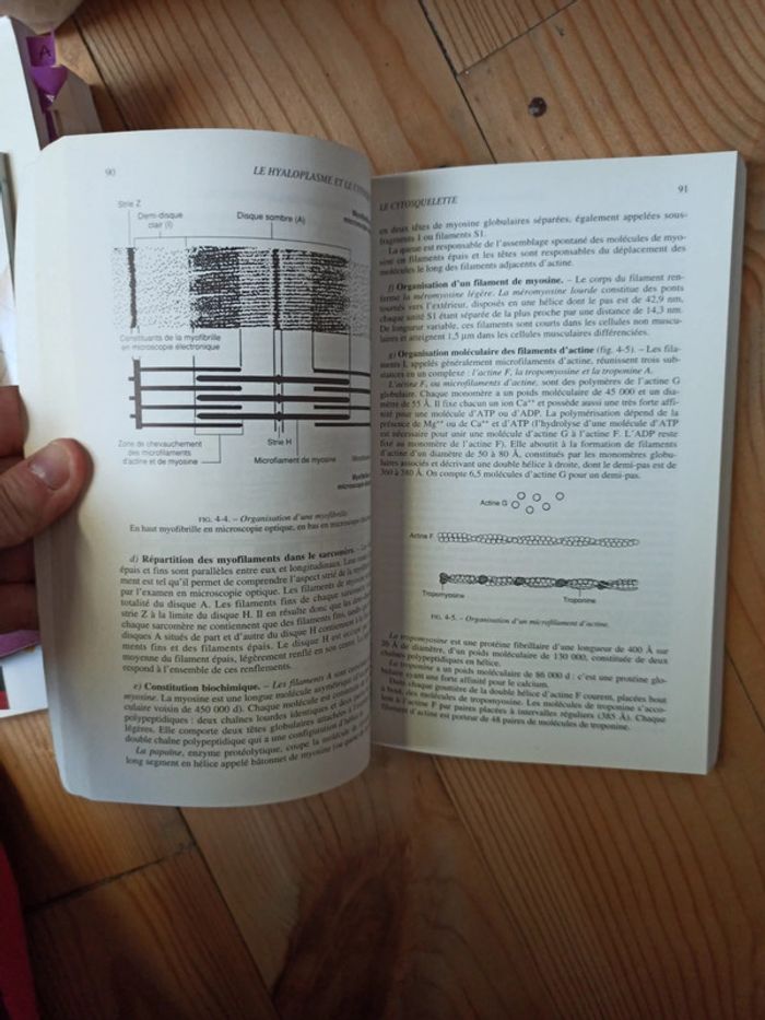 Biologie cellulaire - photo numéro 2