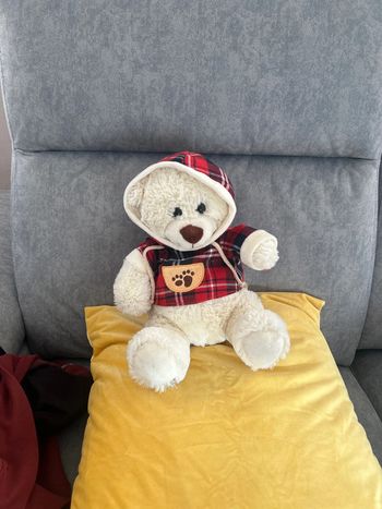 Ours en peluche Tommy toys