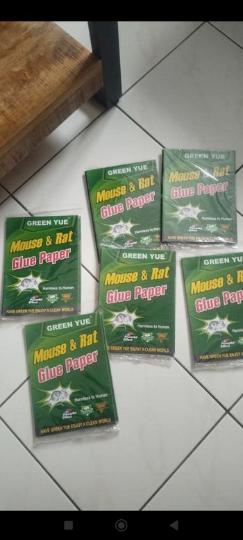 Piège a rat ou autre
