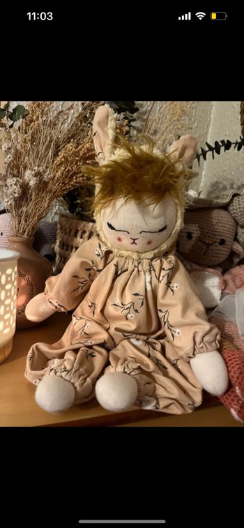 Poupée hoodies The Little Wilds