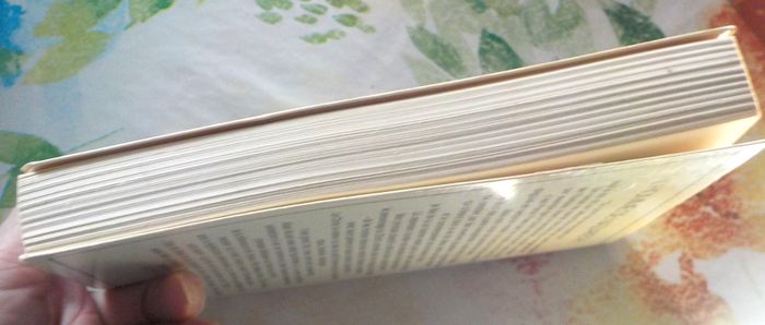 L'HOMME DE NAZARETH de Anthony BURGESS Ed. Laffont - photo numéro 5