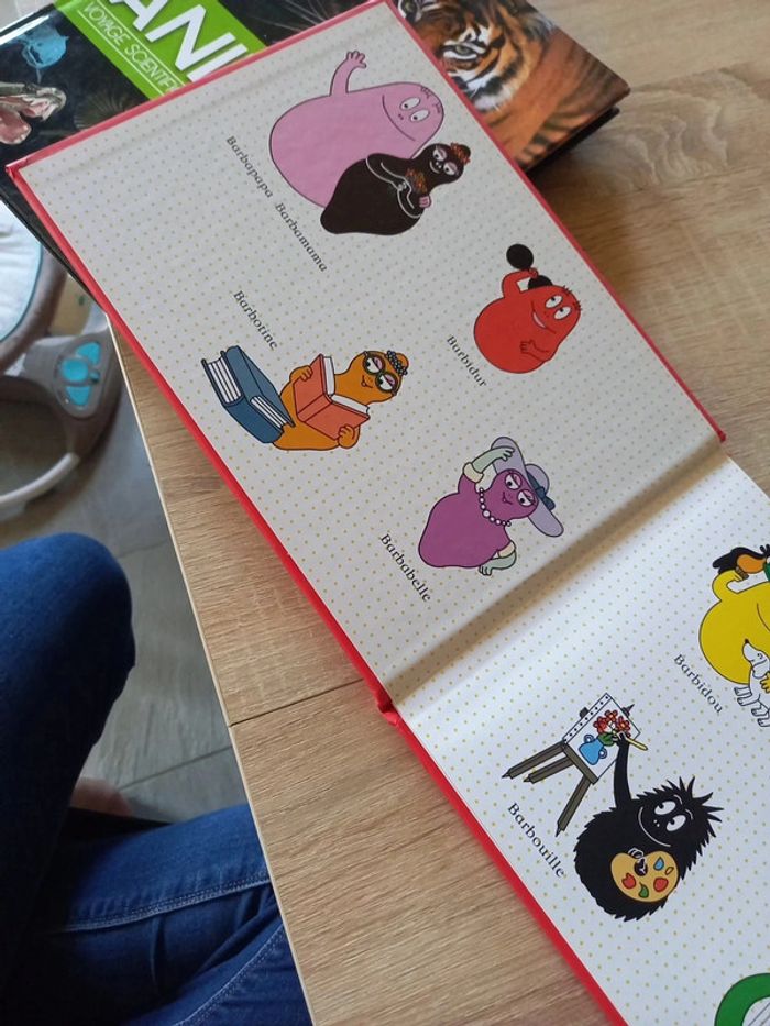 Livre barbapapa - photo numéro 3