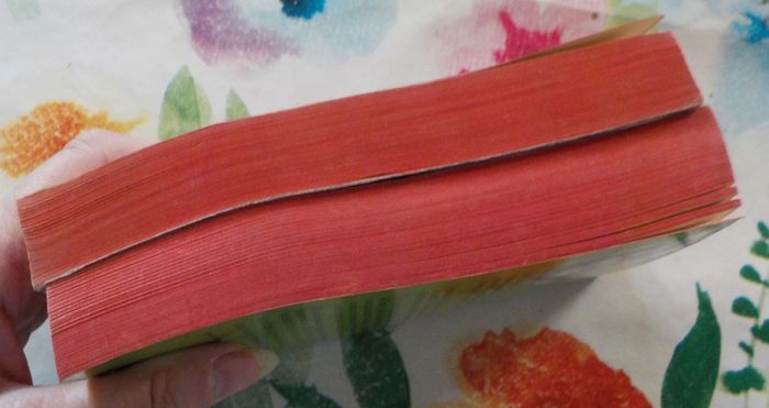 Les oiseaux se cachent pour mourir T1&2 de Colleen McCullough Ed. J'ai Lu - photo numéro 6