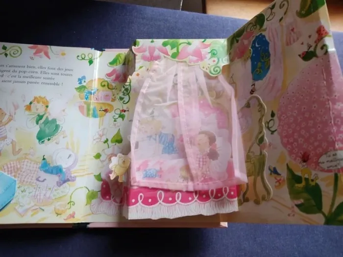 Vend livre la soirée secrète des filles - photo numéro 5