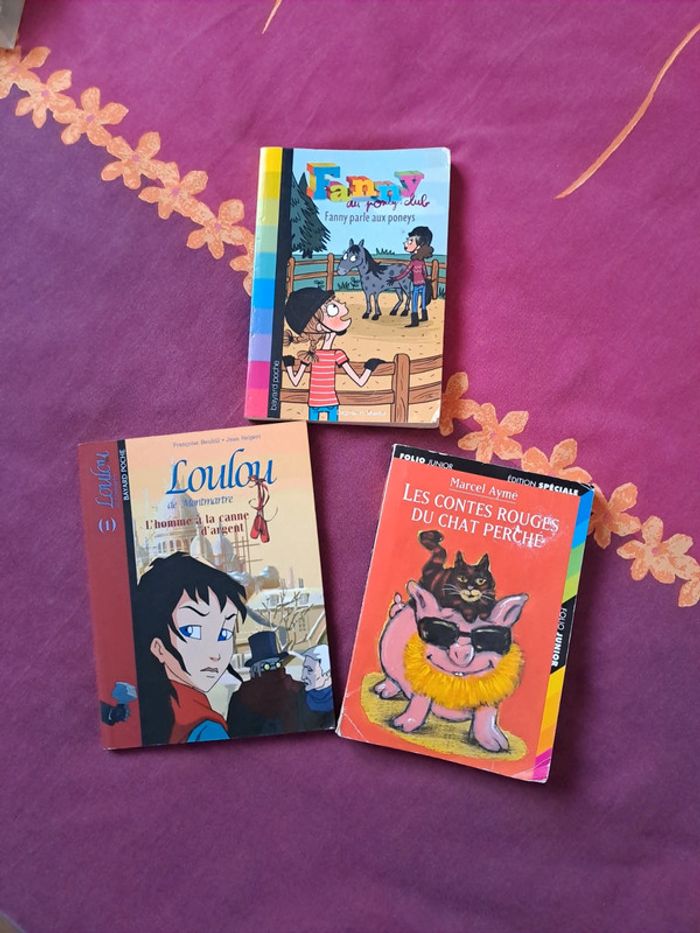 Fanny parles aux poneys