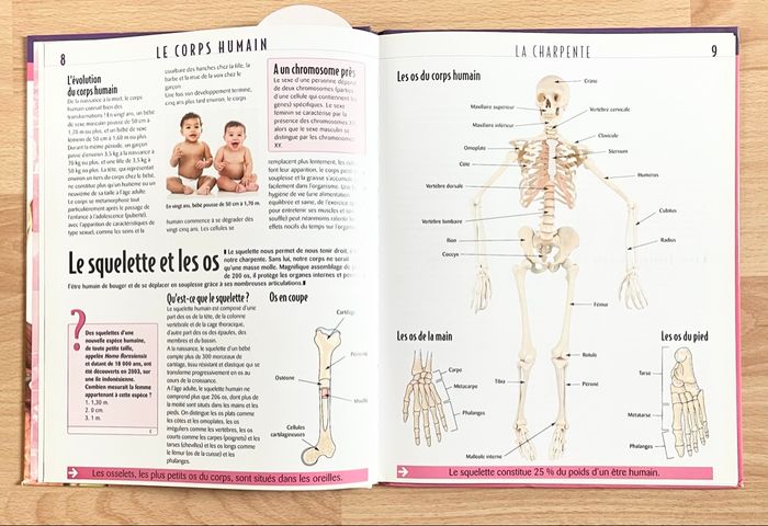 Livre Le corps humain - photo numéro 4