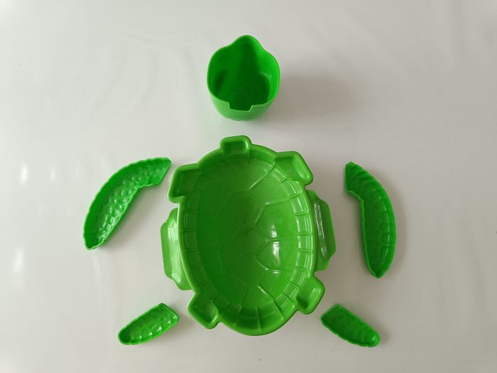 Moule de plage 🐢 - photo numéro 4