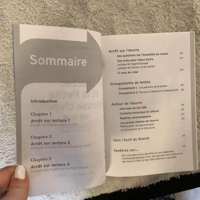 livre Balzac et la petite tailleuse chinoise - photo numéro 5