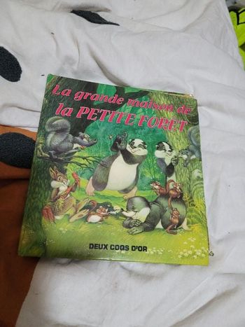 La grande maison de la petite foret