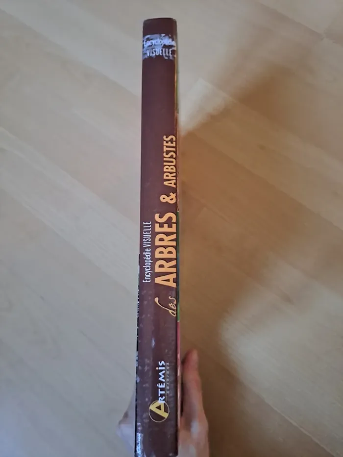 Encyclopédie Visuelle des Arbres & Arbustes - Éditions Artémis - NEUF ! - photo numéro 2