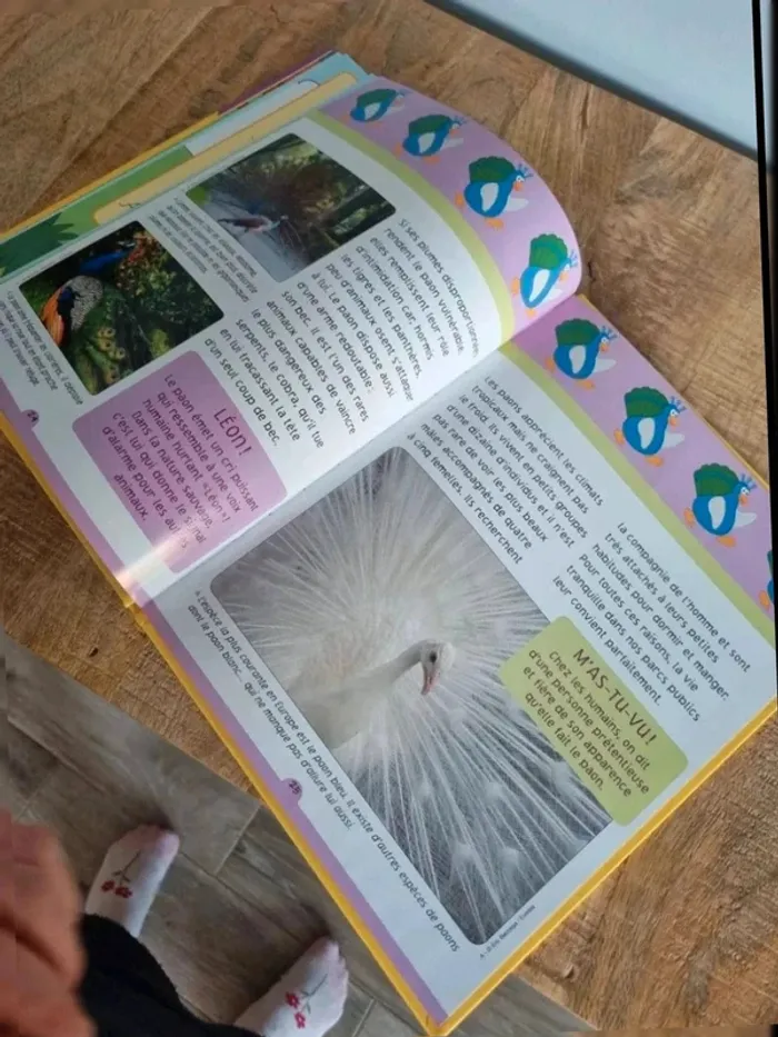 Livre enfant mon abécédaire des animaux découvre le 9 avec Paul le paon - photo numéro 5