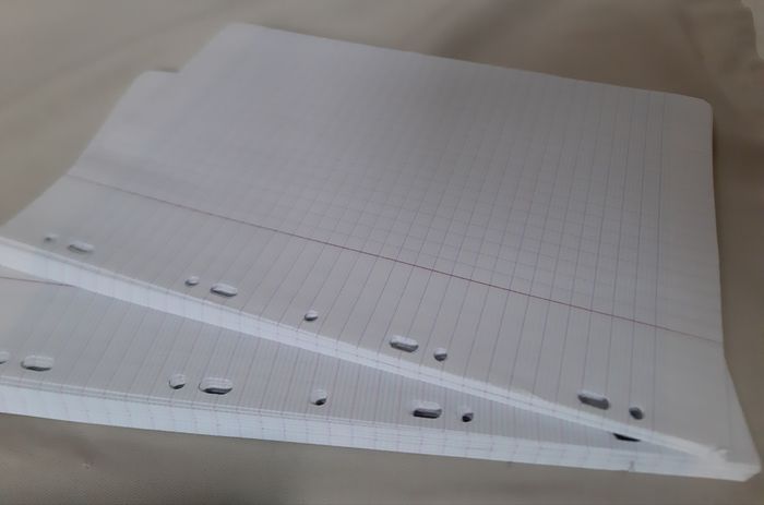 100 feuillets mobiles (feuilles simples) A4 grands carreaux perforées - photo numéro 2