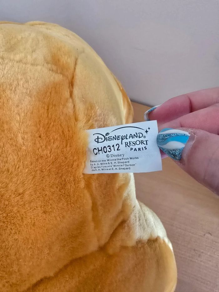 Winnie l'ourson disneyland paris - photo numéro 3