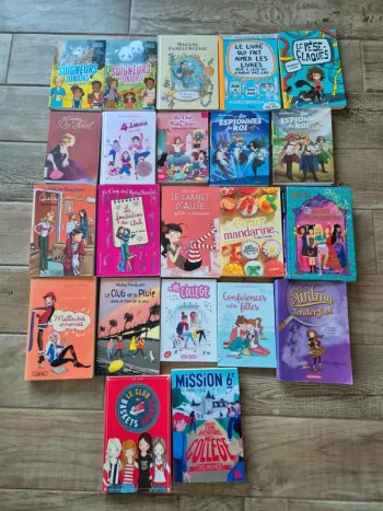 Lot de romans - 3€ l'un / 10€ les 4