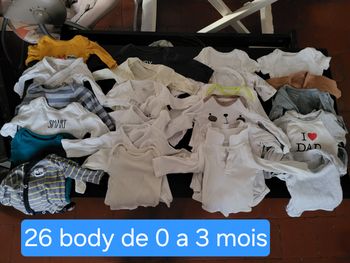 Vend plusieurs lot de naissance a 6mois