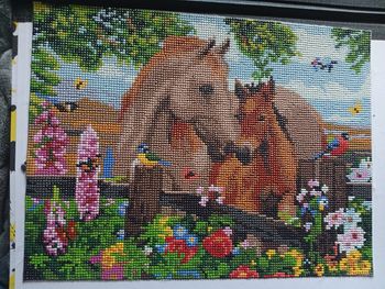 Diamond painting chevaux 