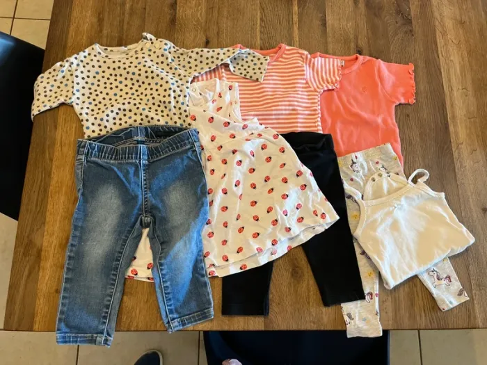 Lot de vêtements en 74 cm