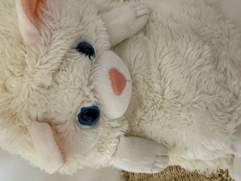 doudou chat persan blanc peluche cali pets dujardin