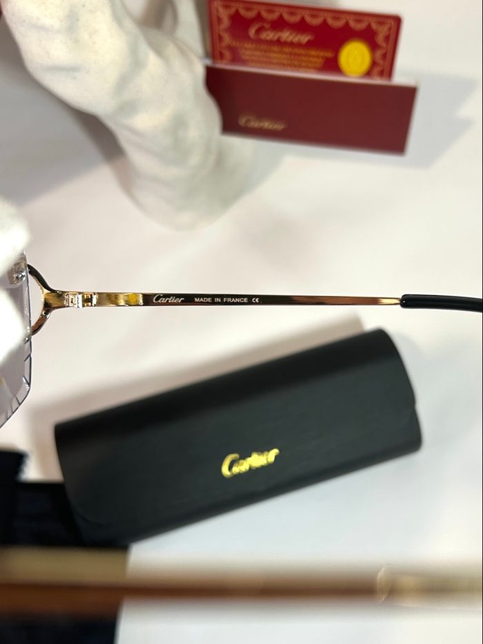 Lunette 4 saisons Cartier ❄️🍂🍃☀️ - photo numéro 9