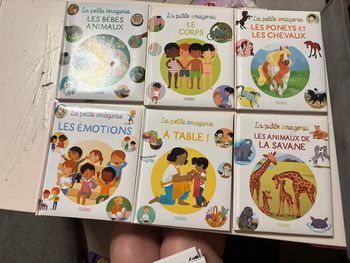 Lot 13 livres collection