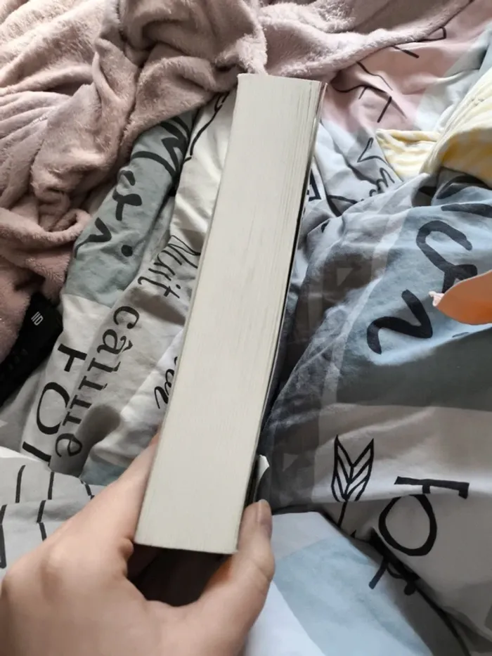 Livre bzrk - photo numéro 4
