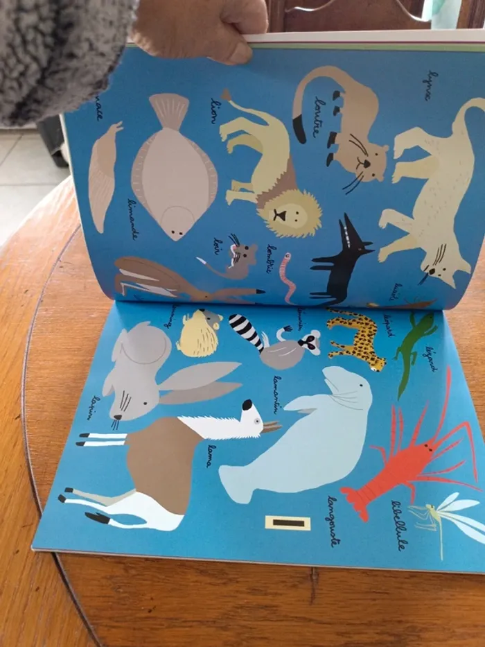 Animaux abécédaire - photo numéro 5
