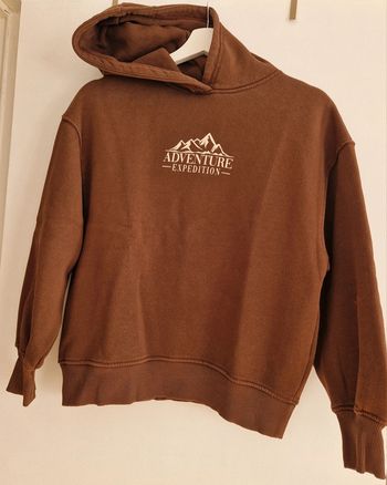 Pull à capuche fille marron 13 / 14 ans Zara