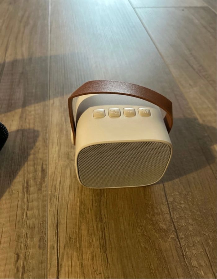 Karaoké 2 micros blanc NEUF - photo numéro 3