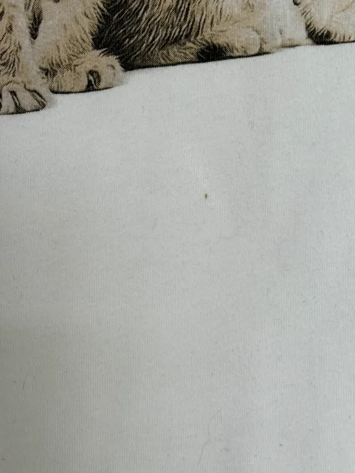 Tee shirt - photo numéro 2