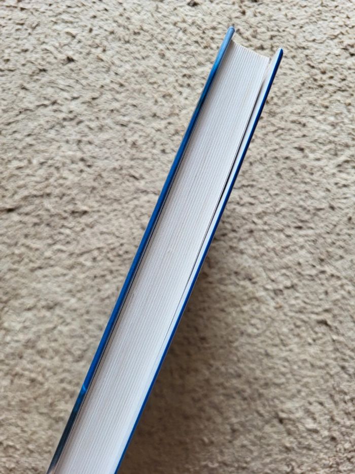 Livre Le secret du docteur Guillard de Thierry Arnaud – Roman psychologique - photo numéro 3