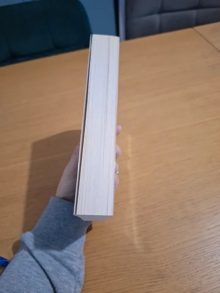 Comme un livre ouvert - photo numéro 5