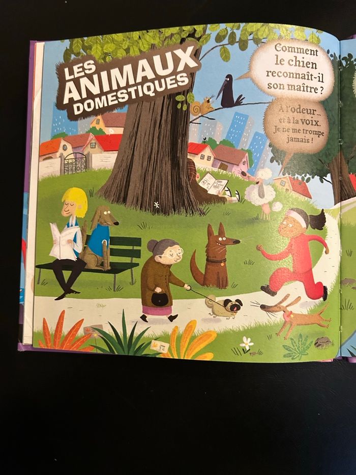 Livre comment ? - photo numéro 8