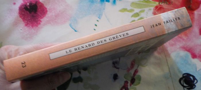 UNE ENQUETE DE MARY LESTER N°23 LE RENARD DES GREVES T2 de Jean FAILLER - photo numéro 4