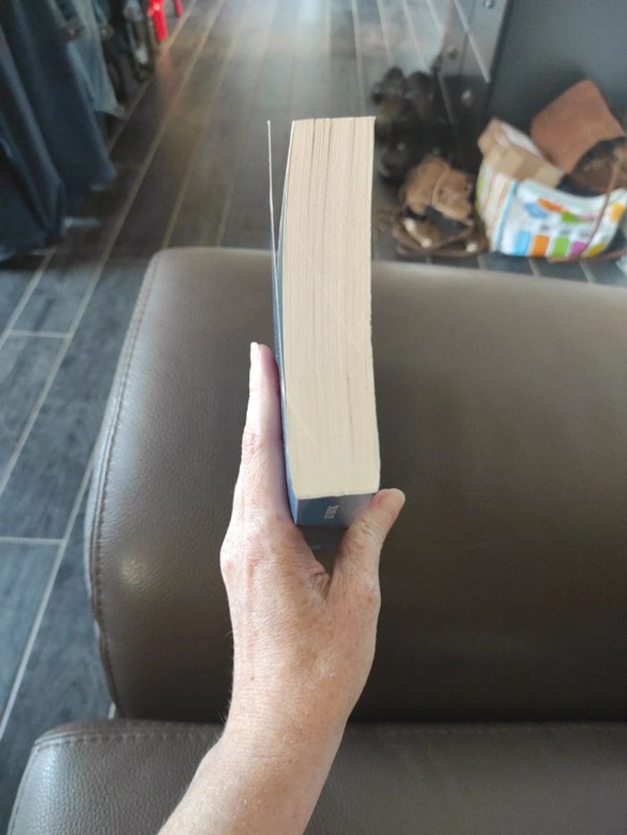 Livre dreamology de Lucy Keating - photo numéro 4