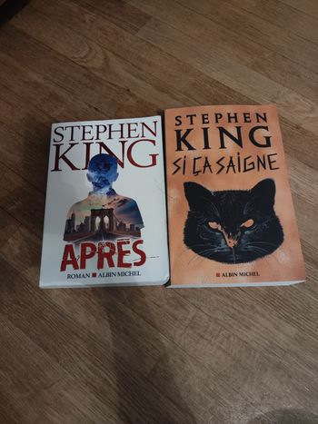 Lots de deux livres de Stephen king 