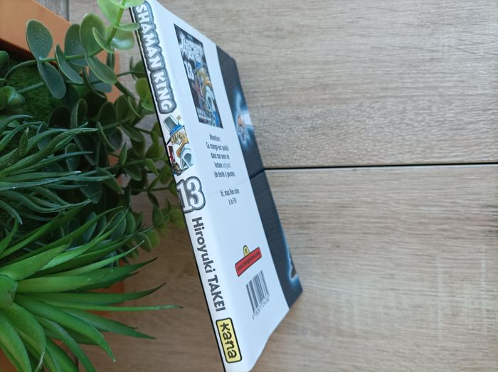 Manga shaman King numéro 13 Kana - photo numéro 5