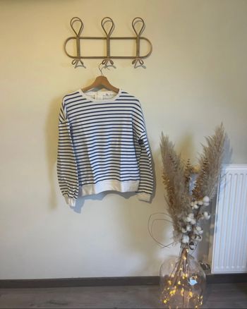 Pull col rond