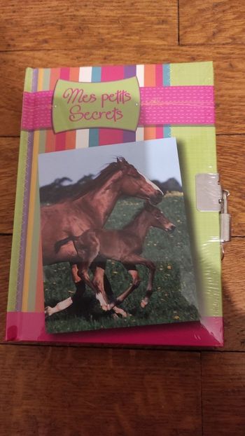 Journal intime cheval neuf