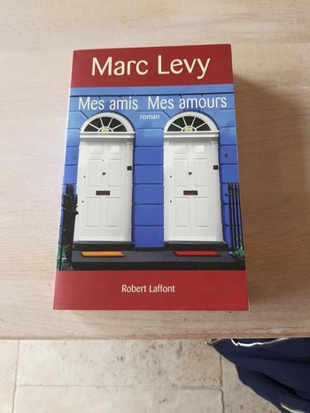 Mes amis mes amours - Marc Levy