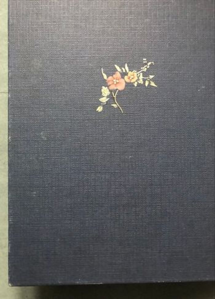 Jane Eyre de Charlotte Brontë - photo numéro 3