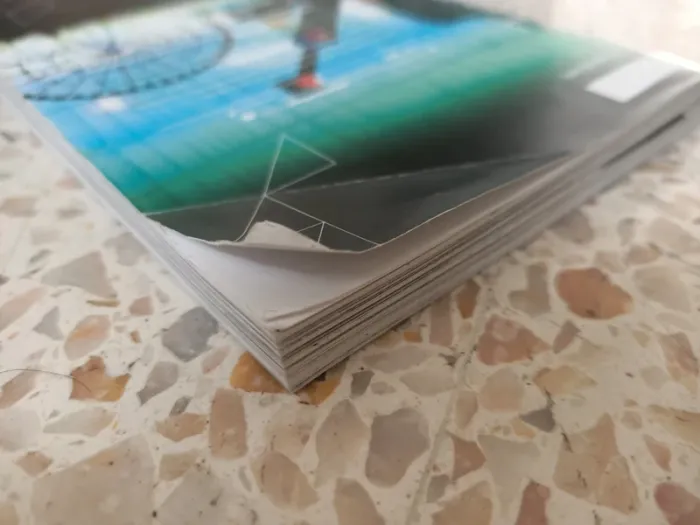 Manga terrarium tome 1 edition provisoire - photo numéro 4