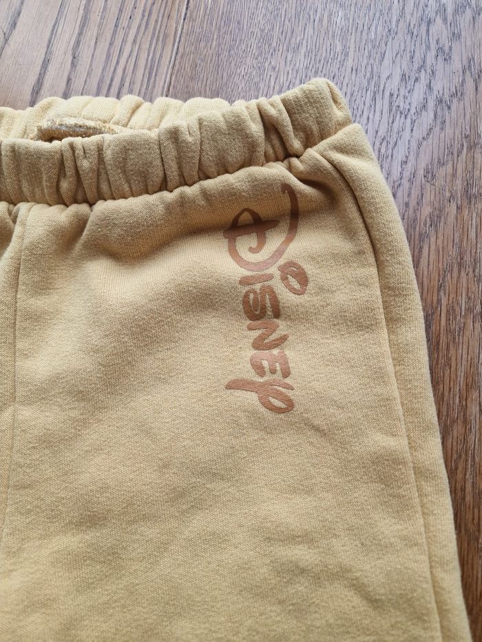 Ensemble le roi lion - photo numéro 6