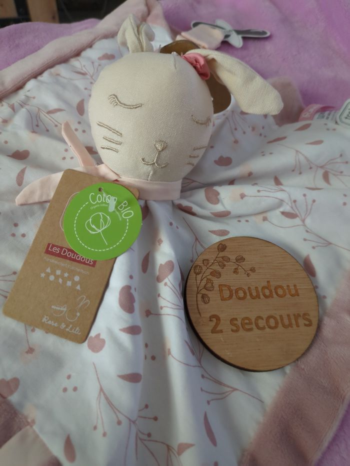 Lapin - photo numéro 2